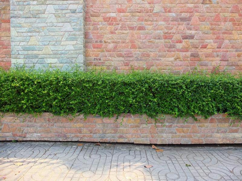 Cr&eacute;ation d'une all&eacute;e de jardin &agrave; Sapois, astuces d'un paysagiste